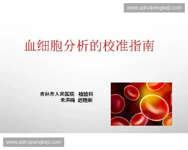 以比赛规则为核心的公平竞赛流程与判定标准全解析实施细则与执行指南